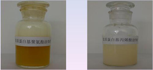 绿色皮革化学品—蛋白涂饰剂